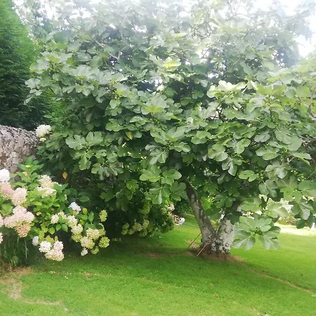 Gestiona2r- Casa Con Desconectar Cerca De La Playa *